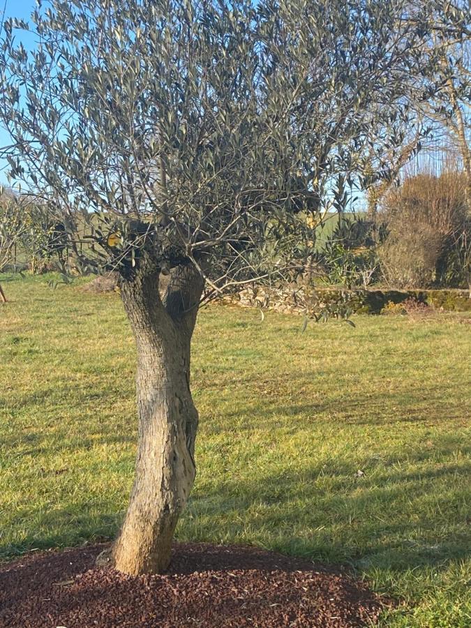 Olemps Chambre D'Hotes Les Grillons מראה חיצוני תמונה